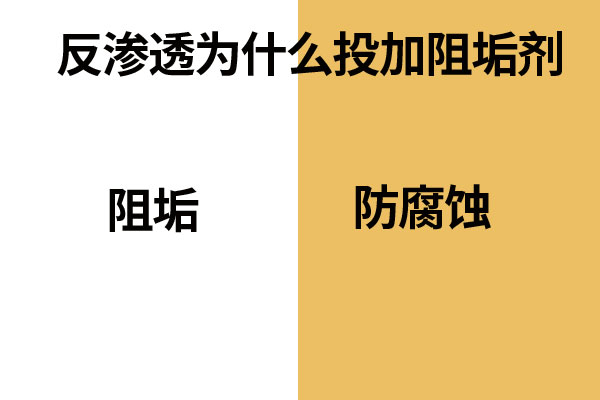 反滲透膜結垢現象
